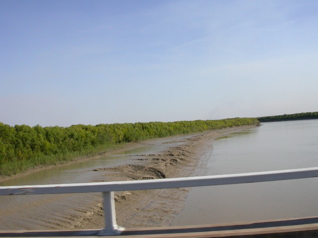 low tide on the South Aligator